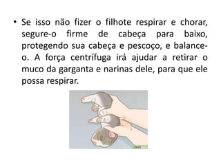 • Se isso não fizer o filhote respirar e chorar,
segure-o firme de cabeça para baixo,
protegendo sua cabeça e pescoço, e balance-
o. A força centrífuga irá ajudar a retirar o
muco da garganta e narinas dele, para que ele
possa respirar.
 