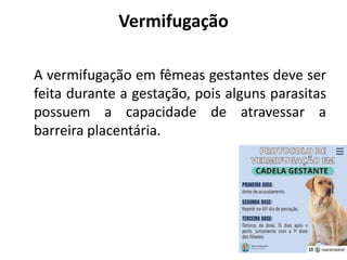 Vermifugação
A vermifugação em fêmeas gestantes deve ser
feita durante a gestação, pois alguns parasitas
possuem a capacidade de atravessar a
barreira placentária.
 