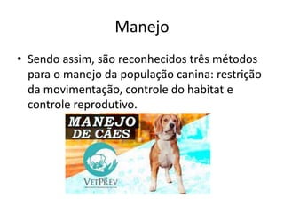 Manejo
• Sendo assim, são reconhecidos três métodos
para o manejo da população canina: restrição
da movimentação, controle do habitat e
controle reprodutivo.
 