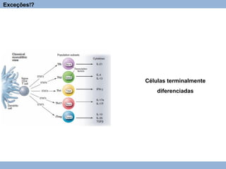 Células terminalmente
diferenciadas
Exceções!?
 