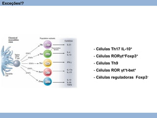 - Células Th17 IL-10+
- Células RORγt+Foxp3+
- Células Th9
- Células ROR γt+t-bet+
- Células reguladoras Foxp3-
Exceções!?
 