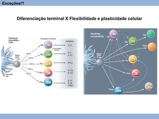 Exceções!?
Diferenciação terminal X Flexibilidade e plasticidade celular
 
