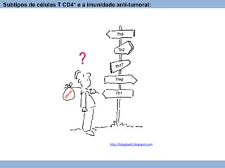 Subtipos de células T CD4+ e a imunidade anti-tumoral:
http://blogdasbi.blogspot.com
 