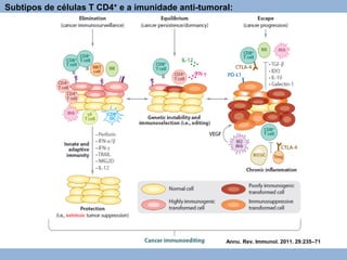 Subtipos de células T CD4+ e a imunidade anti-tumoral:
Annu. Rev. Immunol. 2011. 29:235–71
 