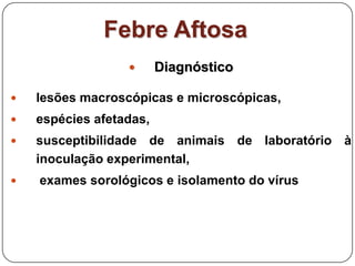 Febre AftosaDiagnósticolesões macroscópicas e microscópicas,espécies afetadas,susceptibilidade de animais de laboratório à inoculação experimental, exames sorológicos e isolamento do vírus