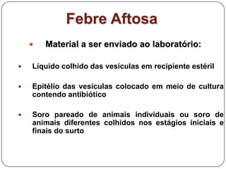 Febre AftosaMaterial a ser enviado ao laboratório:Líquido colhido das vesículas em recipiente estéril Epitélio das vesículas colocado em meio de cultura contendo antibióticoSoro pareado de animais individuais ou soro de animais diferentes colhidos nos estágios iniciais e finais do surto