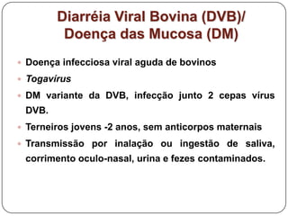 Doença infecciosa viral aguda de bovinosTogavírusDM variante da DVB, infecção junto 2 cepas vírus  DVB.Terneiros jovens -2 anos, sem anticorpos maternaisTransmissão por inalação ou ingestão de saliva, corrimento oculo-nasal, urina e fezes contaminados.Diarréia Viral Bovina (DVB)/ Doença das Mucosa (DM)