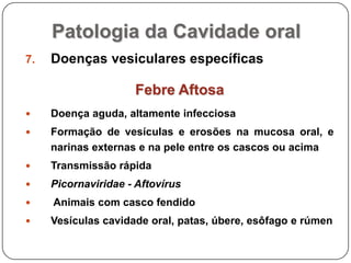 Patologia da Cavidade oralDoenças vesiculares específicasFebre AftosaDoença aguda, altamente infecciosaFormação de vesículas e erosões na mucosa oral, e narinas externas e na pele entre os cascos ou acimaTransmissão rápidaPicornaviridae - Aftovírus Animais com casco fendido Vesículas cavidade oral, patas, úbere, esôfago e rúmen