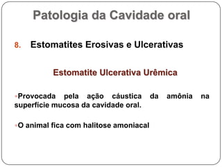 Patologia da Cavidade oralEstomatites Erosivas e UlcerativasEstomatite Ulcerativa UrêmicaProvocada pela ação cáustica da amônia na superfície mucosa da cavidade oral.O animal fica com halitose amoniacal