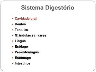 Sistema DigestórioCavidade oralDentesTonsilasGlândulas salivaresLínguaEsôfagoPré-estômagosEstômagoIntestinos