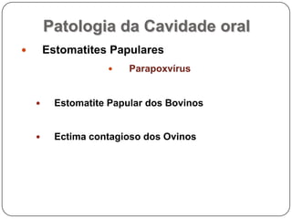Patologia da Cavidade oralEstomatites PapularesParapoxvírusEstomatite Papular dos BovinosEctima contagioso dos Ovinos
