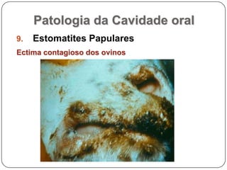 Patologia da Cavidade oralEstomatites PapularesEctima contagioso dos ovinos