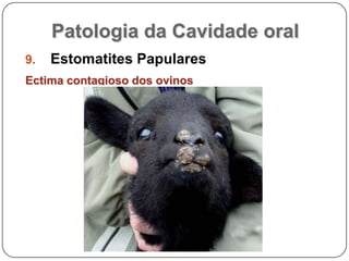 Patologia da Cavidade oralEstomatites PapularesEctima contagioso dos ovinos