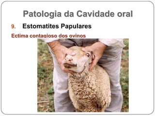 Patologia da Cavidade oralEstomatites PapularesEctima contagioso dos ovinos