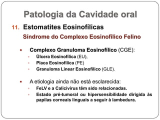 Patologia da Cavidade oralEstomatites EosinofílicasSíndrome do Complexo Eosinofílico FelinoComplexo Granuloma Eosinofílico (CGE):Úlcera Eosinofílica (EU), Placa Eosinofílica (PE) Granuloma Linear Eosinofílico (GLE). A etiologia ainda não está esclarecida:FeLV e a Calicivírus têm sido relacionadas. Estado pré-tumoral ou hipersensibilidade dirigida às papilas corneais linguais a seguir à lambedura.