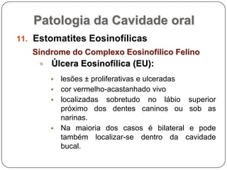 Patologia da Cavidade oralEstomatites EosinofílicasSíndrome do Complexo Eosinofílico FelinoÚlcera Eosinofílica (EU):lesões ± proliferativas e ulceradascor vermelho-acastanhado vivo localizadas sobretudo no lábio superior próximo dos dentes caninos ou sob as narinas.Na maioria dos casos é bilateral e pode também localizar-se dentro da cavidade bucal.