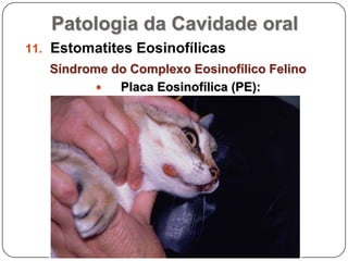 Patologia da Cavidade oralEstomatites EosinofílicasSíndrome do Complexo Eosinofílico FelinoGranuloma Linear Eosinofílico (GLE): lesões nodulares bem circunscritas, firmes, dispostas em linha coloração amarelada a rosada, geralmente não pruriginosas. localizam-se sobretudo na face posterior das coxas mas pode atingir a cavidade bucal.