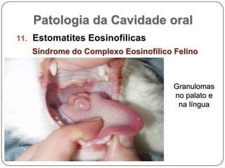 Patologia da Cavidade oralEstomatites EosinofílicasSíndrome do Complexo Eosinofílico Felino