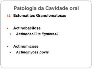 Estomatites granulomatosasActinobacilose