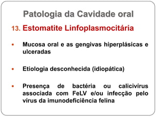 Estomatite linfoplasmocitária
