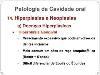 Hiperplasia e NeoplasmasHiperplasia Gengival 