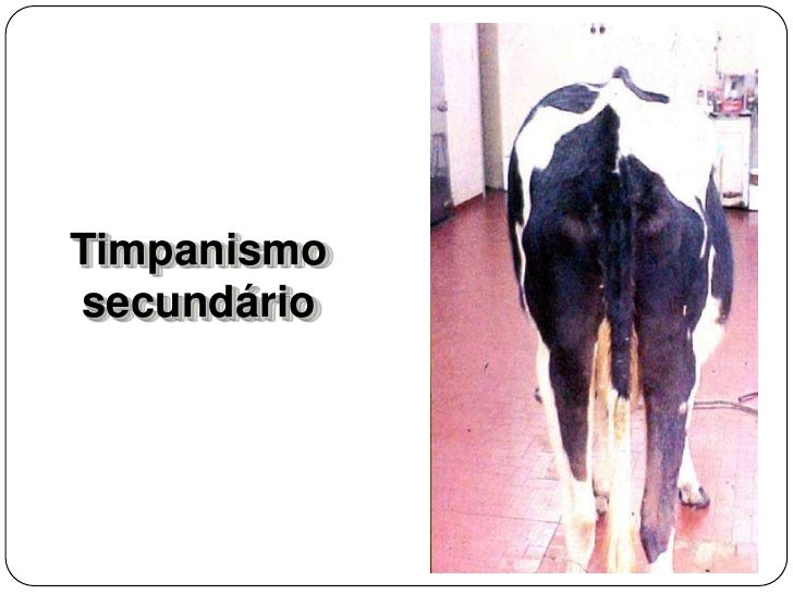 Aula Digestivo 4 2010 1