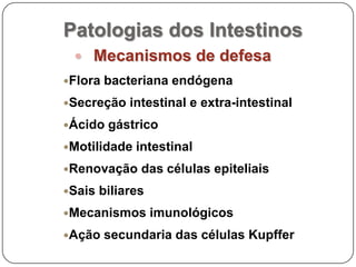 Patologias dos IntestinosMecanismos de defesaFlora bacteriana endógenaSecreção intestinal e extra-intestinalÁcido gástricoMotilidade intestinalRenovação das células epiteliaisSais biliaresMecanismos imunológicosAção secundaria das células Kupffer