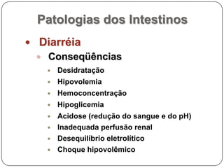 Patologias dos IntestinosDiarréiaConseqüênciasDesidrataçãoHipovolemiaHemoconcentraçãoHipoglicemiaAcidose (redução do sangue e do pH)Inadequada perfusão renalDesequilíbrio eletrolíticoChoque hipovolêmico