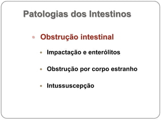 Patologias dos IntestinosObstrução intestinalImpactação e enterólitosObstrução por corpo estranhoIntussuscepção