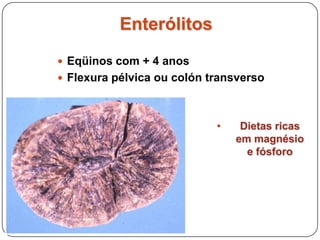 EnterólitosEqüinos com + 4 anosFlexura pélvica ou colón transversoDietas ricas em magnésio e fósforoEnterólitos