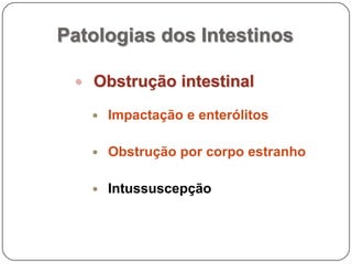 Corpos estranhosMais comum em cães e gatosObjetos: bolas, moedas, pedaços de cordão, pedras...Gatos – bolas de pêlosVômito e diarréias passageiraIsquemia por compressão vasos sanguíneosPeristaltismo exagerado e intussuscepçãoInduzir dilatação intestinal e gástrica