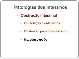 Intussuscepção
