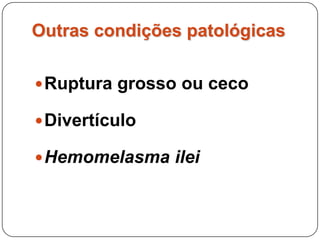 Outras condições patológicasRuptura grosso ou ceco:Comum em éguas prenhes, como resultado de impactação ou complicações anestésicas.