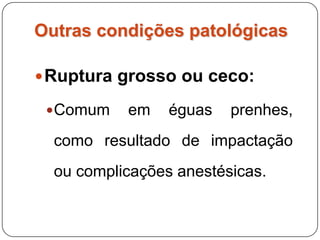Outras condições patológicasDivertículo: