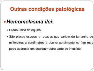 Deslocamentos intestinais ou Alterações de posiçãoVolvulo ou volvoHérnias