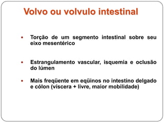 Volvo intestinal