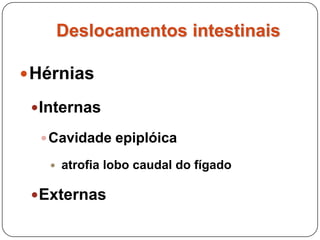Deslocamentos intestinaisHérniasExternasSaco herniário = bolsa peritônio parietal InguinalPerinealEscrotalUmbilicalDiafragmática (?eventração?)
