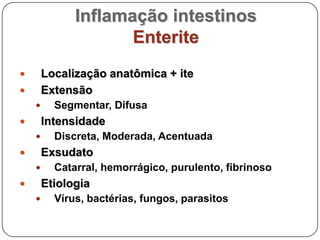 Inflamações: enteritesIntestino DelgadoDuodeno: duodeniteJejuno: jejuniteÍleo: ileíte