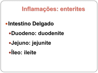 Inflamações: enteritesIntestino GrossoCeco: tifliteCólon: coliteReto: proctite