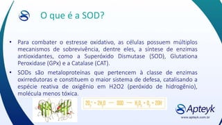 O que é a SOD?
• Para combater o estresse oxidativo, as células possuem múltiplos
mecanismos de sobrevivência, dentre eles, a síntese de enzimas
antioxidantes, como a Superóxido Dismutase (SOD), Glutationa
Peroxidase (GPx) e a Catalase (CAT).
• SODs são metaloproteínas que pertencem à classe de enzimas
oxirredutoras e constituem o maior sistema de defesa, catalisando a
espécie reativa de oxigênio em H2O2 (peróxido de hidrogênio),
molécula menos tóxica.
 