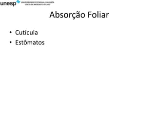 Absorção Foliar
• Cutícula
• Estômatos
 