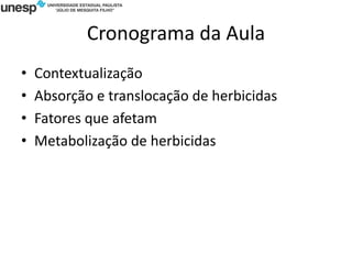 Cronograma da Aula
• Contextualização
• Absorção e translocação de herbicidas
• Fatores que afetam
• Metabolização de herbicidas
 