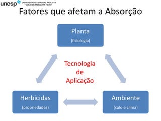 Fatores que afetam a Absorção
Planta
(fisiologia)
Ambiente
(solo e clima)
Herbicidas
(propriedades)
Tecnologia
de
Aplicação
 