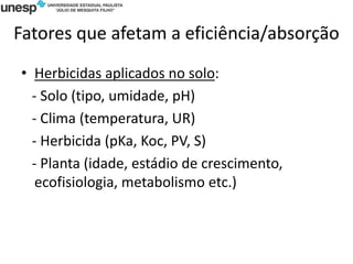 Fatores que afetam a eficiência/absorção
• Herbicidas aplicados no solo:
- Solo (tipo, umidade, pH)
- Clima (temperatura, UR)
- Herbicida (pKa, Koc, PV, S)
- Planta (idade, estádio de crescimento,
ecofisiologia, metabolismo etc.)
 