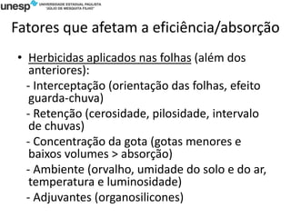 Fatores que afetam a eficiência/absorção
• Herbicidas aplicados nas folhas (além dos
anteriores):
- Interceptação (orientação das folhas, efeito
guarda-chuva)
- Retenção (cerosidade, pilosidade, intervalo
de chuvas)
- Concentração da gota (gotas menores e
baixos volumes > absorção)
- Ambiente (orvalho, umidade do solo e do ar,
temperatura e luminosidade)
- Adjuvantes (organosilicones)
 