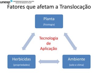 Fatores que afetam a Translocação
Planta
(fisiologia)
Ambiente
(solo e clima)
Herbicidas
(propriedades)
Tecnologia
de
Aplicação
 