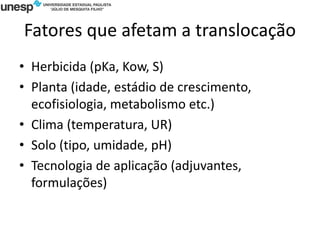 Fatores que afetam a translocação
• Herbicida (pKa, Kow, S)
• Planta (idade, estádio de crescimento,
ecofisiologia, metabolismo etc.)
• Clima (temperatura, UR)
• Solo (tipo, umidade, pH)
• Tecnologia de aplicação (adjuvantes,
formulações)
 