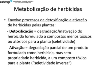 Metabolização de herbicidas
• Envolve processos de detoxificação e ativação
de herbicidas pelas plantas:
- Detoxificação = degradação/inativação do
herbicida formulado a compostos menos tóxicos
ou atóxicos para a planta (seletividade)
- Ativação = degradação parcial de um produto
formulado como herbicida, mas sem
propriedade herbicida, a um composto tóxico
para a planta (“seletividade inversa”)
 