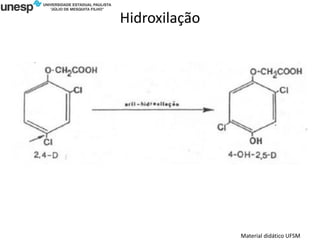 Hidroxilação
Material didático UFSM
 