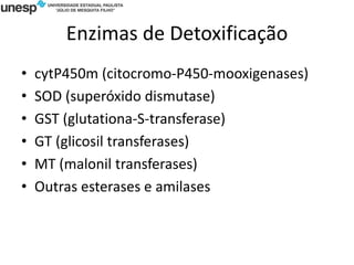 Enzimas de Detoxificação
• cytP450m (citocromo-P450-mooxigenases)
• SOD (superóxido dismutase)
• GST (glutationa-S-transferase)
• GT (glicosil transferases)
• MT (malonil transferases)
• Outras esterases e amilases
 
